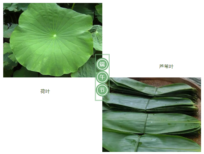 世界杯下单网站 - 世界杯(中国)医纺
