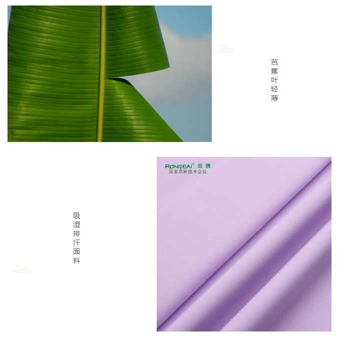世界杯下单网站 - 世界杯(中国)医纺