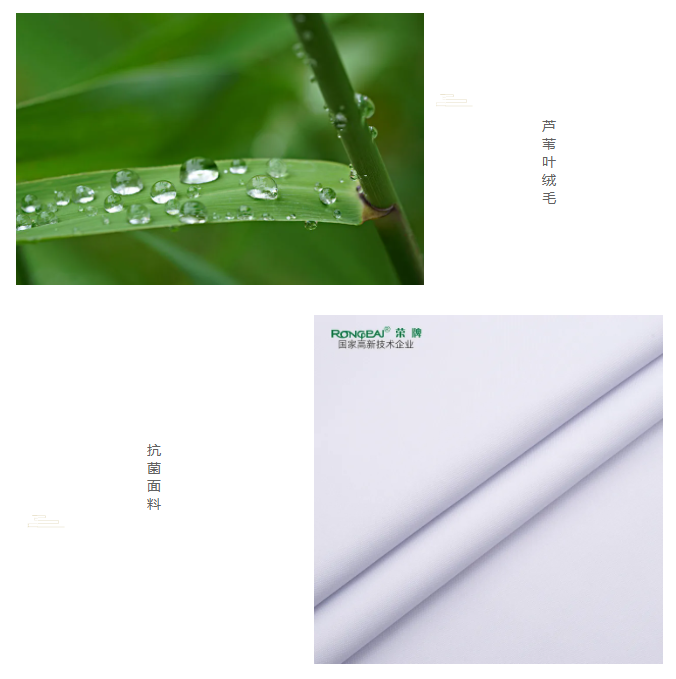 世界杯下单网站 - 世界杯(中国)医纺